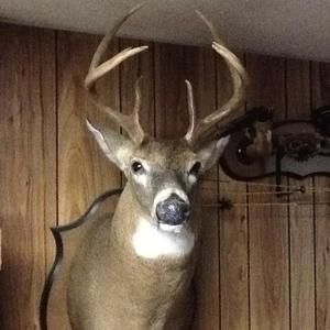 Meet your Posher, Darrell